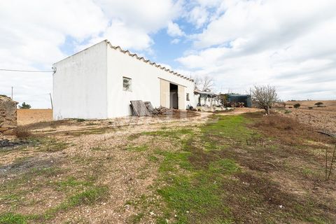 Terra a Bordeira, Faro, Bordeira - € 1.075.000 | Ref: 65761 - foto 27