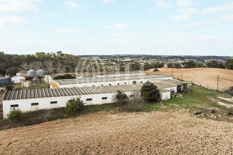 Terra a Bordeira, Faro, Bordeira - € 1.075.000 | Ref: 65761 - foto 28