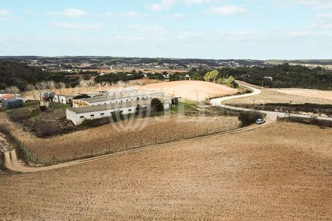 Terra a Bordeira, Faro, Bordeira - € 1.075.000 | Ref: 65761 - foto 29
