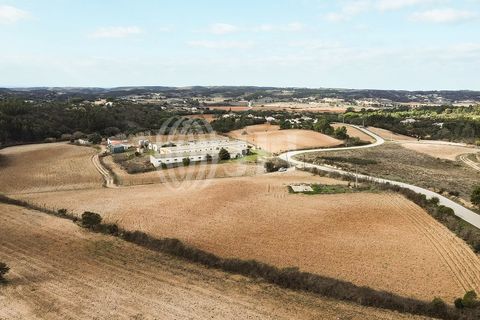 Terra a Bordeira, Faro, Bordeira - € 1.075.000 | Ref: 65761 - foto 30