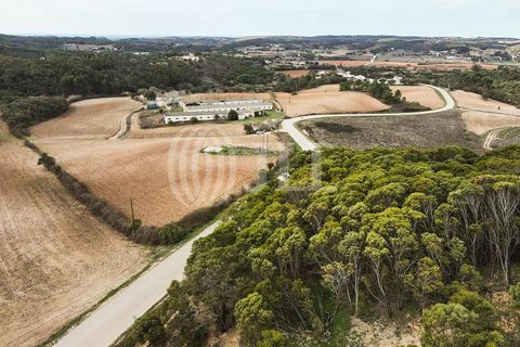 Terra a Bordeira, Faro, Bordeira - € 1.075.000 | Ref: 65761 - foto 31