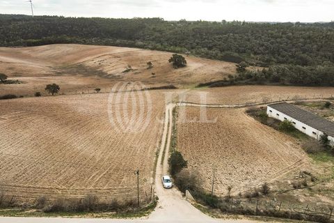 Terra a Bordeira, Faro, Bordeira - € 1.075.000 | Ref: 65761 - foto 33