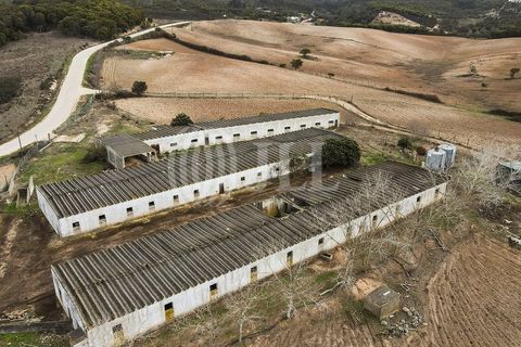 Terra a Bordeira, Faro, Bordeira - € 1.075.000 | Ref: 65761 - foto 35