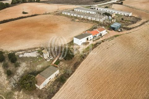 Terra a Bordeira, Faro, Bordeira - € 1.075.000 | Ref: 65761 - foto 42