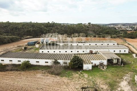 Terra a Bordeira, Faro, Bordeira - € 1.075.000 | Ref: 65761 - foto 43