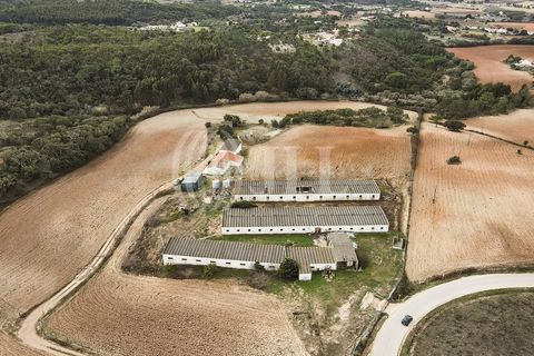 Terra a Bordeira, Faro, Bordeira - € 1.075.000 | Ref: 65761 - foto 44