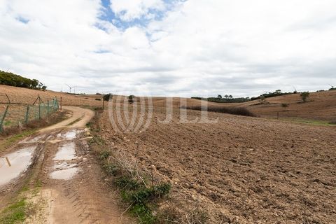 Landejendom i Bordeira, Faro, Bordeira - € 1.075.000 | Ref: 61810 - foto 15