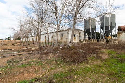 Landejendom i Bordeira, Faro, Bordeira - € 1.075.000 | Ref: 61810 - foto 17