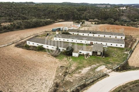 Landejendom i Bordeira, Faro, Bordeira - € 1.075.000 | Ref: 61810 - foto 31