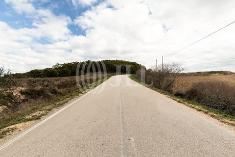 Landejendom i Bordeira, Faro, Bordeira - € 1.075.000 | Ref: 61810 - foto 46