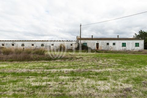 Helårsgrund i Odeceixe, Faro, Odeceixe - € 895.000 | Ref: 65762 - foto 6