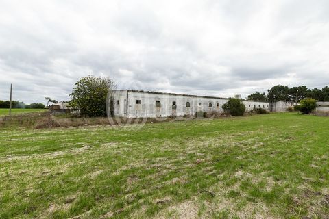 Helårsgrund i Odeceixe, Faro, Odeceixe - € 895.000 | Ref: 65762 - foto 8