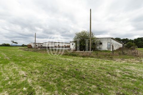 Helårsgrund i Odeceixe, Faro, Odeceixe - € 895.000 | Ref: 65762 - foto 10