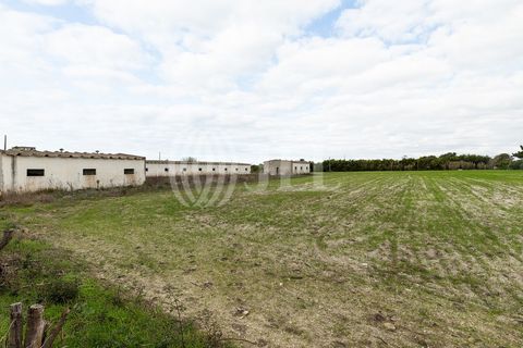 Helårsgrund i Odeceixe, Faro, Odeceixe - € 895.000 | Ref: 65762 - foto 15