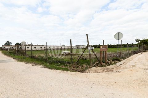 Helårsgrund i Odeceixe, Faro, Odeceixe - € 895.000 | Ref: 65762 - foto 16