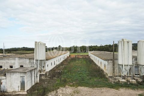 Helårsgrund i Odeceixe, Faro, Odeceixe - € 895.000 | Ref: 65762 - foto 18