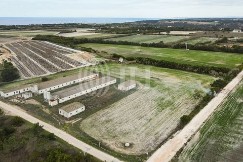 Helårsgrund i Odeceixe, Faro, Odeceixe - € 895.000 | Ref: 65762 - foto 19