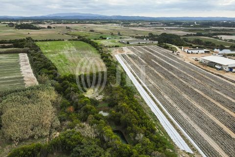 Helårsgrund i Odeceixe, Faro, Odeceixe - € 895.000 | Ref: 65762 - foto 24