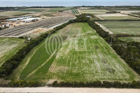 Helårsgrund i Odeceixe, Faro, Odeceixe - € 895.000 | Ref: 65762 - foto 30