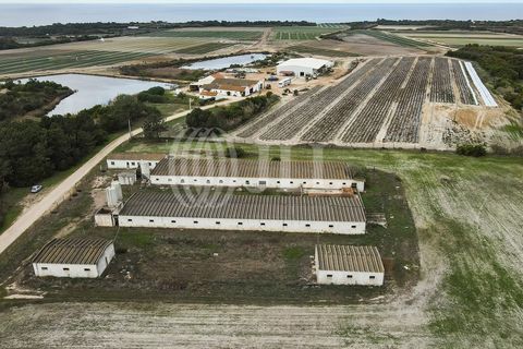 Helårsgrund i Odeceixe, Faro, Odeceixe - € 895.000 | Ref: 65762 - foto 35