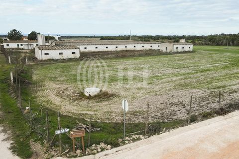 Helårsgrund i Odeceixe, Faro, Odeceixe - € 895.000 | Ref: 65762 - foto 38