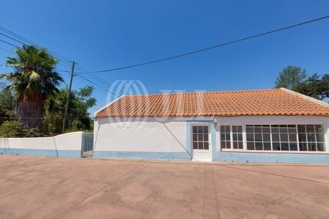 Villa a Alcacer do Sal, Setubal, Alcacer do Sal - € 730.000 | Ref: 66787 - foto 19