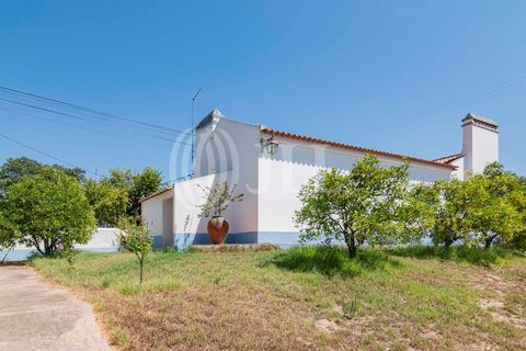 Villa a Alcacer do Sal, Setubal, Alcacer do Sal - € 730.000 | Ref: 66787 - foto 26