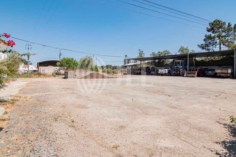 Villa a Alcacer do Sal, Setubal, Alcacer do Sal - € 730.000 | Ref: 66787 - foto 28