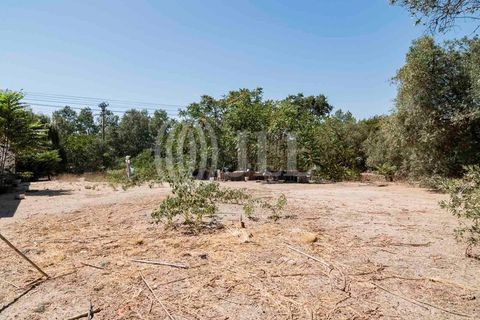 Villa a Alcacer do Sal, Setubal, Alcacer do Sal - € 730.000 | Ref: 66787 - foto 29