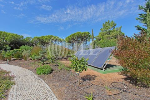 Villa i Almancil, Faro, Almancil - € 16.500.000 | Ref: 84777 - foto 41