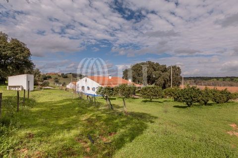 Masia a Ourique, Beja, Ourique - € 695.000 | Ref: 86586 - foto 12