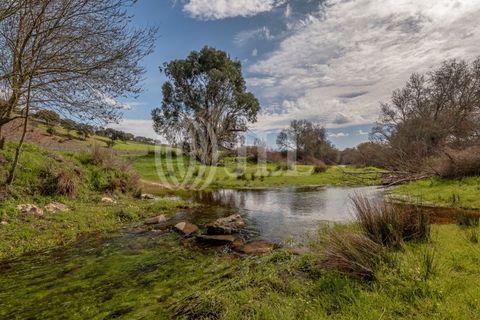 Masia a Ourique, Beja, Ourique - € 695.000 | Ref: 86586 - foto 13