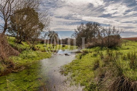 Masia a Ourique, Beja, Ourique - € 695.000 | Ref: 86586 - foto 14