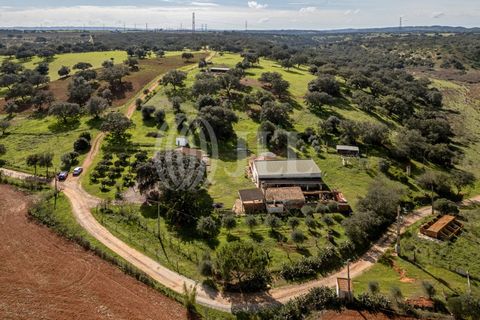 Masia a Ourique, Beja, Ourique - € 695.000 | Ref: 86586 - foto 20