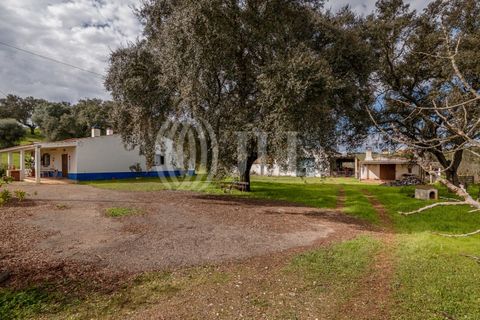 Masia a Ourique, Beja, Ourique - € 695.000 | Ref: 86586 - foto 22