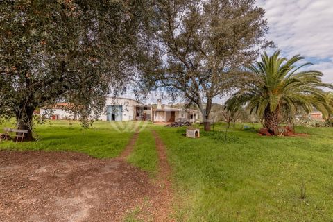Masia a Ourique, Beja, Ourique - € 695.000 | Ref: 86586 - foto 23