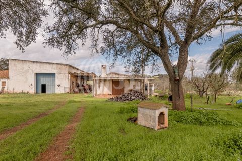 Masia a Ourique, Beja, Ourique - € 695.000 | Ref: 86586 - foto 24