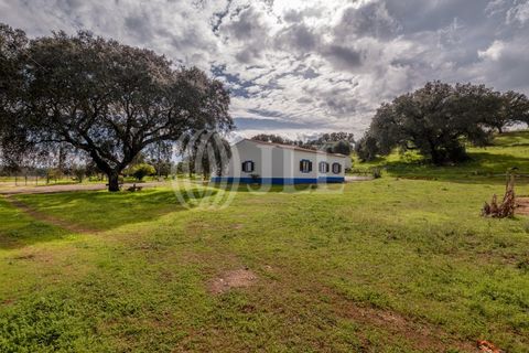 Masia a Ourique, Beja, Ourique - € 695.000 | Ref: 86586 - foto 25