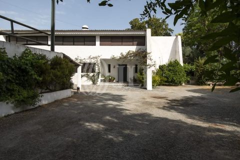 Farm i Moura, Beja, Moura - € 1.200.000 | Ref: 85742 - foto 2