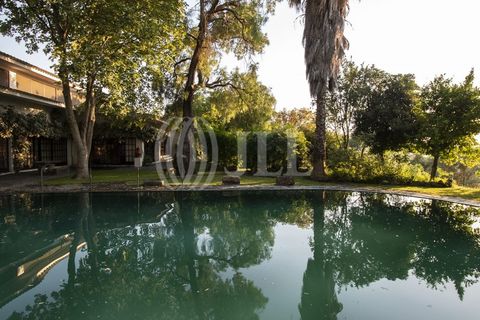 Farm i Moura, Beja, Moura - € 1.200.000 | Ref: 85742 - foto 3