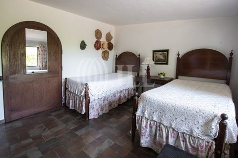 Farm i Moura, Beja, Moura - € 1.200.000 | Ref: 85742 - foto 17