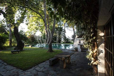Farm i Moura, Beja, Moura - € 1.200.000 | Ref: 85742 - foto 21