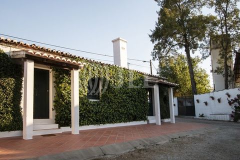 Farm i Moura, Beja, Moura - € 1.200.000 | Ref: 85742 - foto 23
