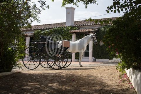 Farm i Moura, Beja, Moura - € 1.200.000 | Ref: 85742 - foto 24