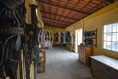 Farm i Moura, Beja, Moura - € 1.200.000 | Ref: 85742 - foto 25