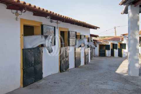 Farm i Moura, Beja, Moura - € 1.200.000 | Ref: 85742 - foto 26