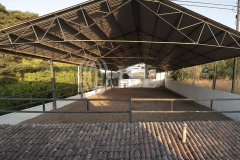 Farm i Moura, Beja, Moura - € 1.200.000 | Ref: 85742 - foto 27
