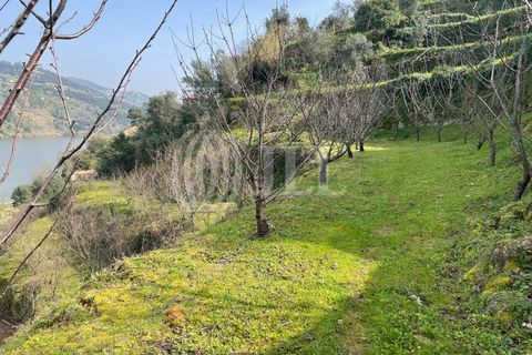 Villa i Resende, Viseu, Resende - € 2.250.000 | Ref: 84536 - foto 17