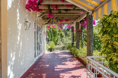 Villa i Oeiras, Lisbon, Oeiras - € 4.450.000 | Ref: 83205 - foto 3