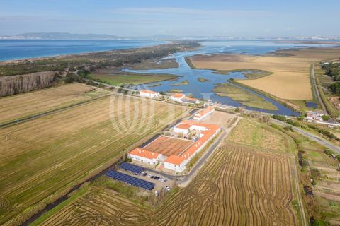 Lejlighed i Comporta, Setubal, Comporta - € 350.000 | Ref: 82680 - foto 19